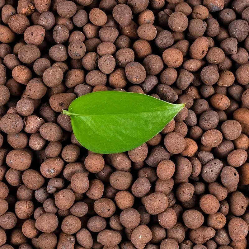 Clay Pebble Growing - 1 Pfund wiederverwendbare Hydrokultur-Ton-Kieselsteine, natürliche hydroponische