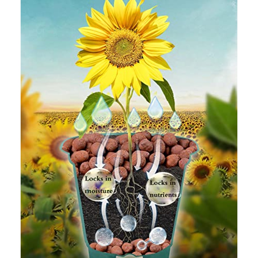Voulosimi Tonkugeln Hydroponis – Clay Pebble Growing Bewertung und Preis