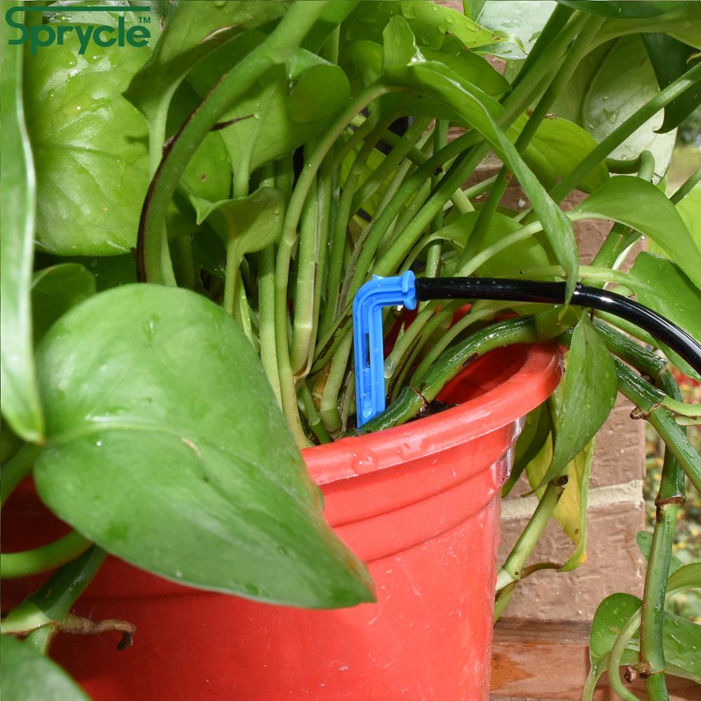 SPRYCLE 50X Biegung Pfeil Trop – Urban Farming System Bewertung und Preis