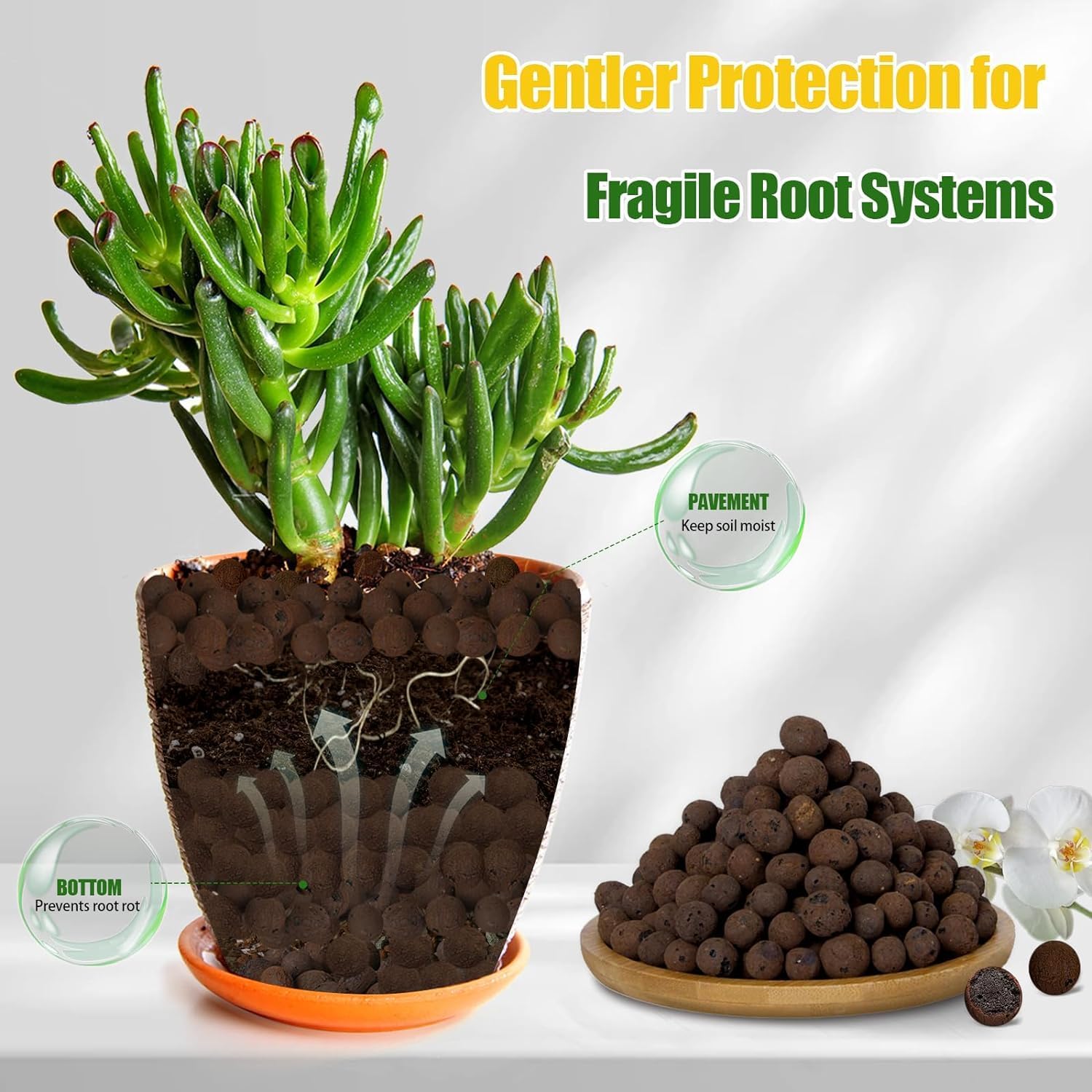 2L/1L Organische Tonkugeln, Bl – Clay Pebble Growing Bewertung und Preis