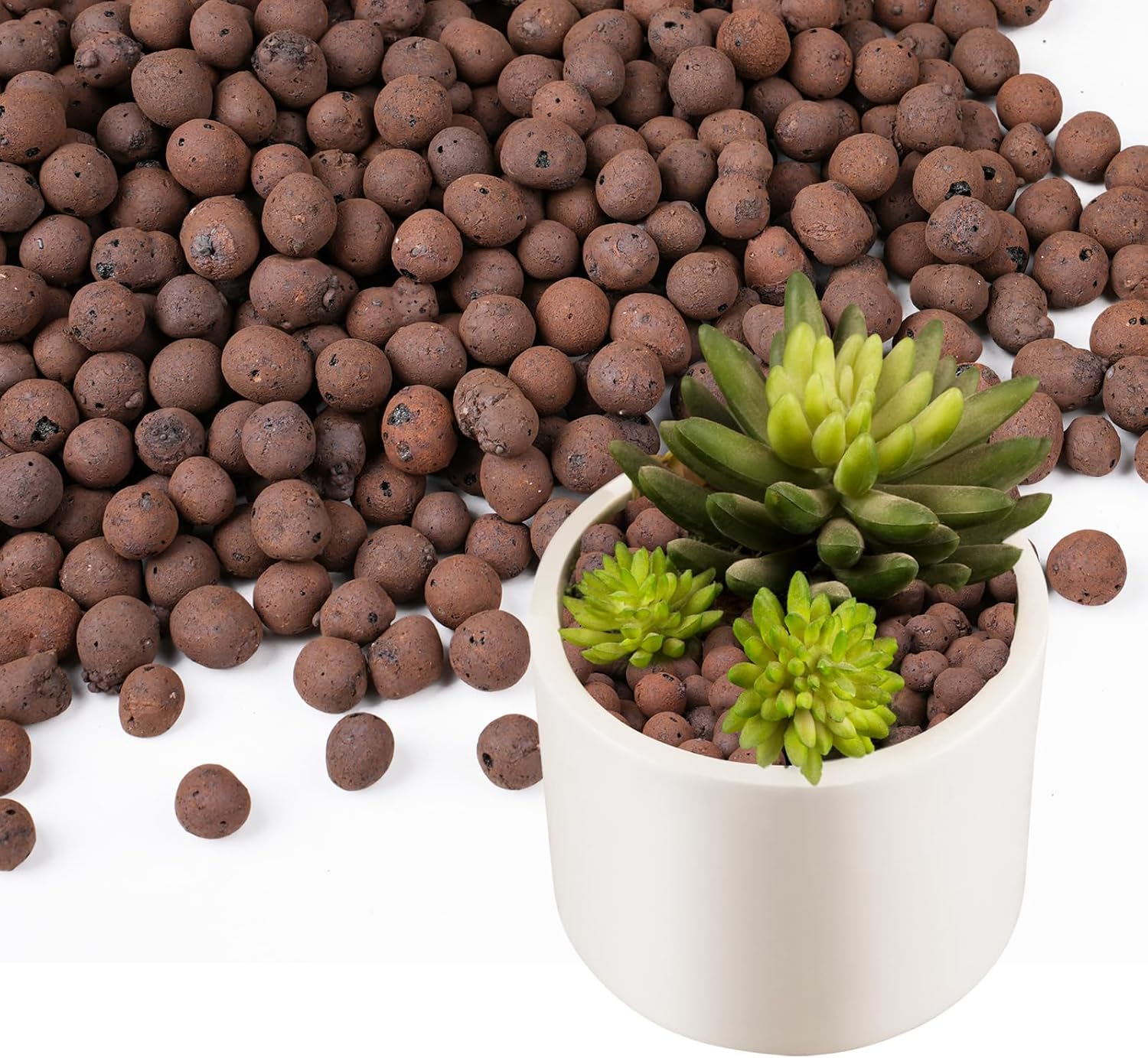 100/200G Tonkugeln für Pflanze – Clay Pebble Growing Bewertung und Preis