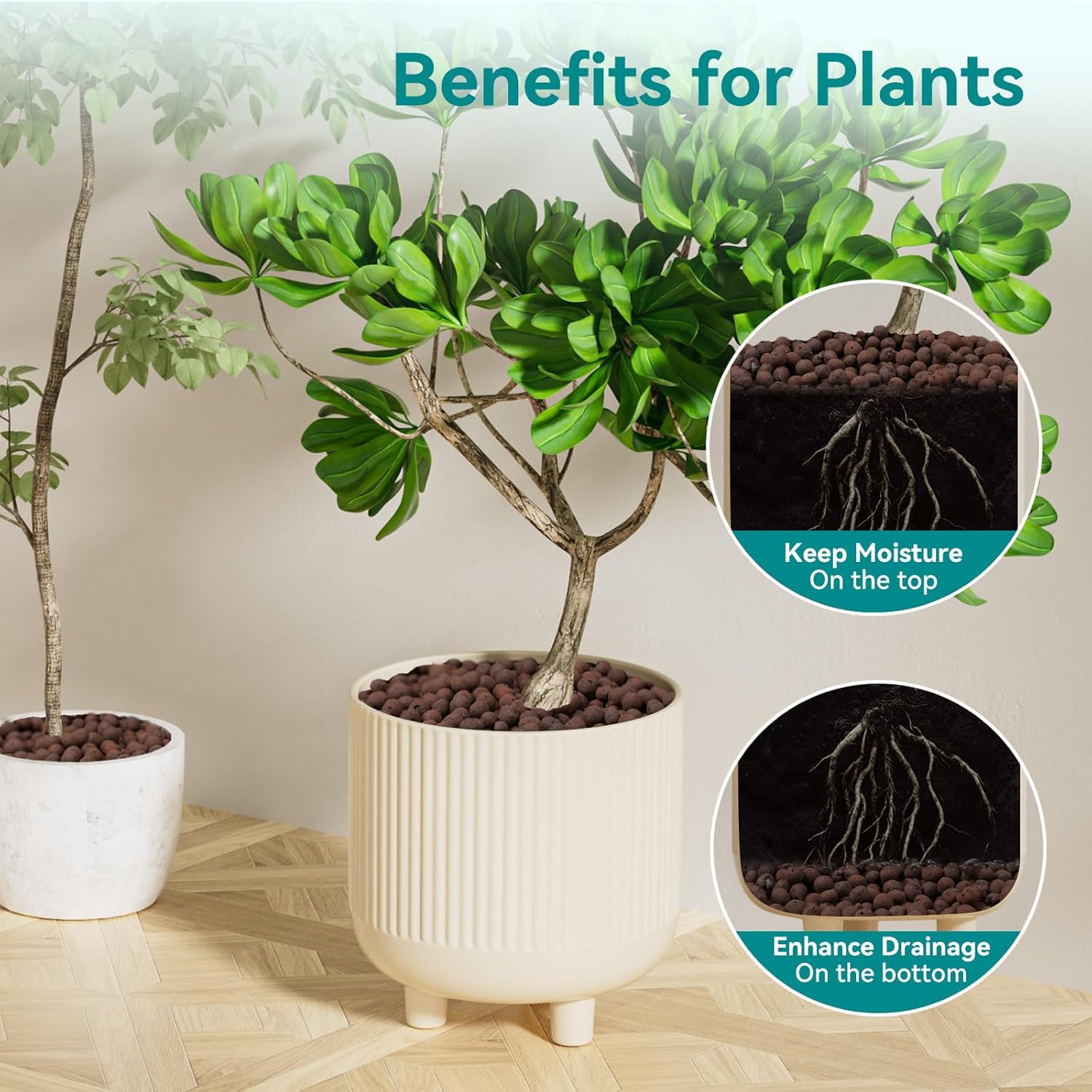 100/200G Tonkugeln für Pflanze – Clay Pebble Growing Bewertung und Preis