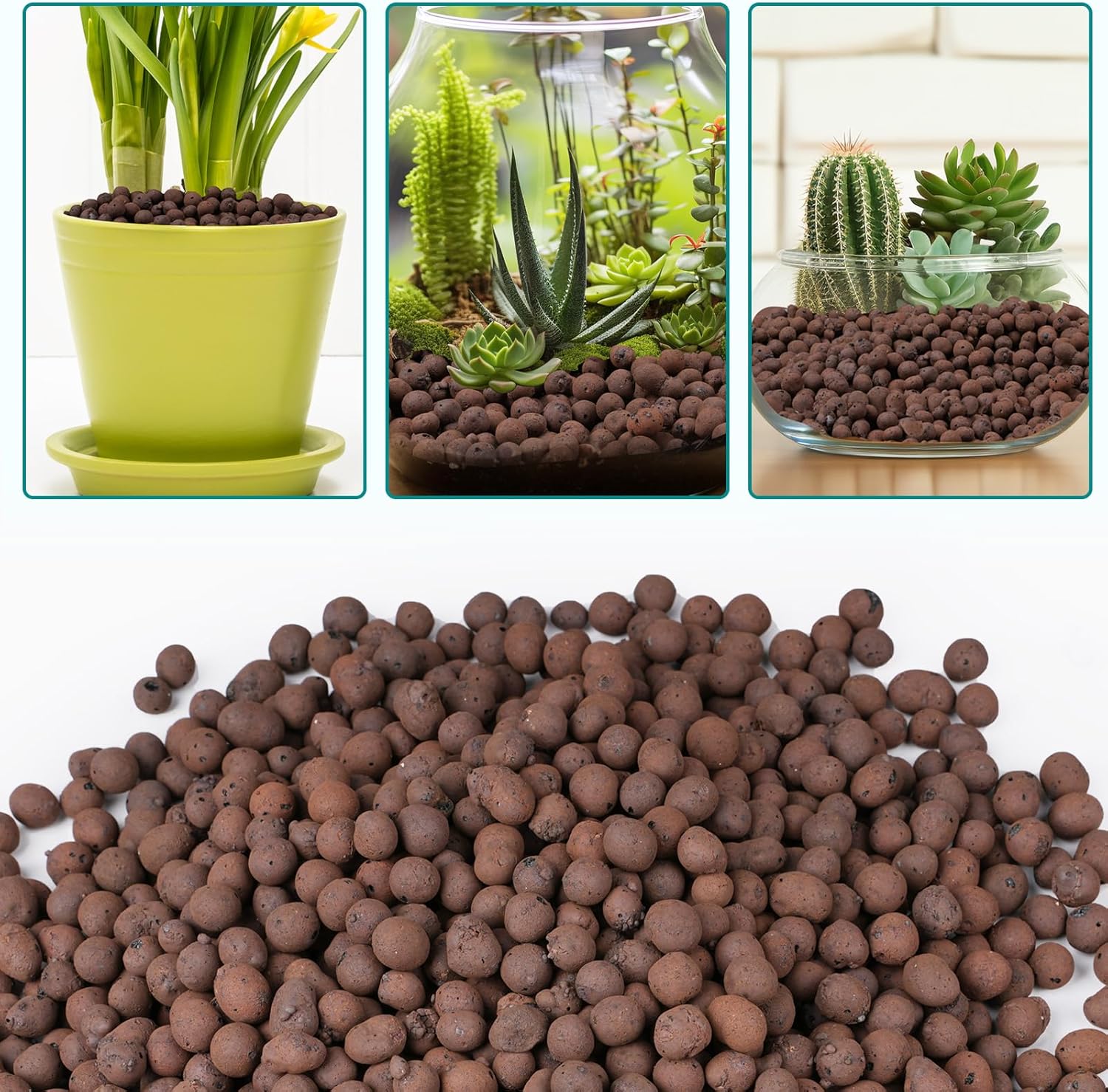 100/200G Tonkugeln für Pflanze – Clay Pebble Growing Bewertung und Preis
