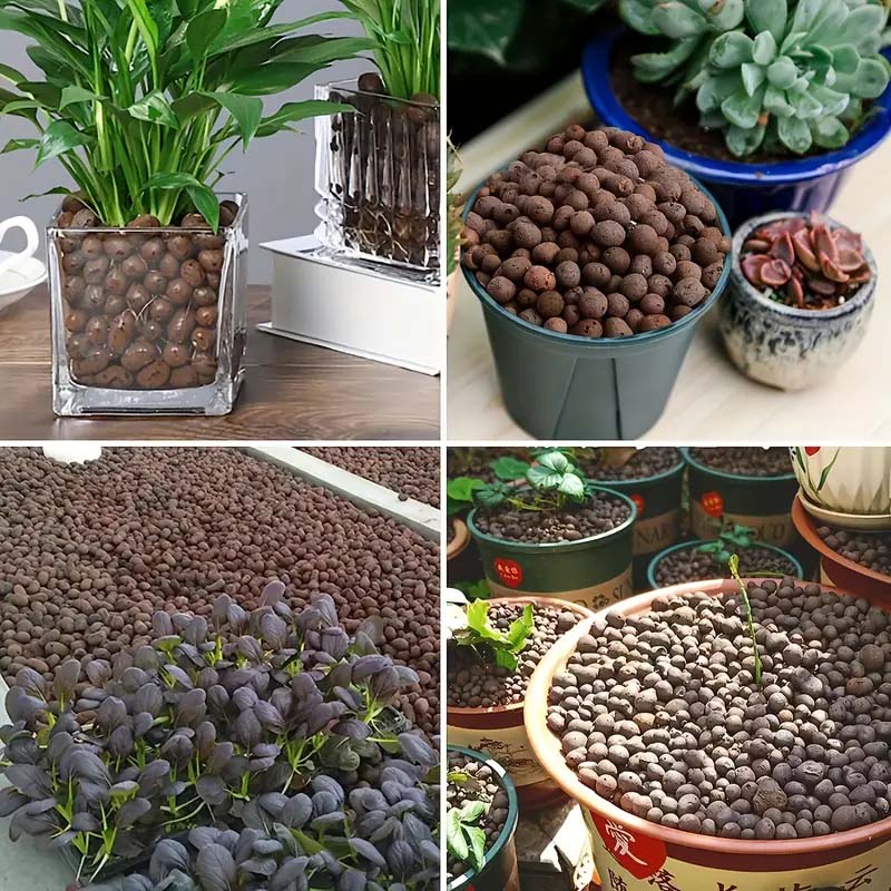 100/200G Tonkugeln für Pflanze – Clay Pebble Growing Bewertung und Preis