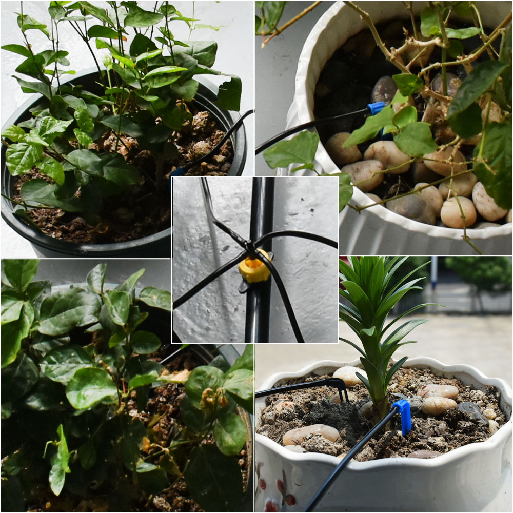 Gewächshaus Topf Curved Pfeil  – Urban Farming System Bewertung und Preis